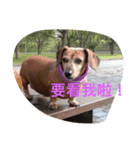Don't heated it and to believe（個別スタンプ：5）