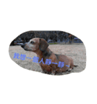 Don't heated it and to believe（個別スタンプ：6）