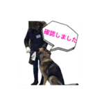 police dog.2（個別スタンプ：6）