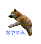 嵐くん（個別スタンプ：3）