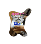 猫のささやかな日常です（個別スタンプ：15）