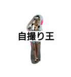 姫にゃにゃん（個別スタンプ：13）