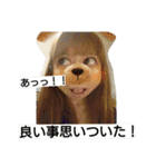姫にゃにゃん（個別スタンプ：20）
