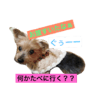 koukunn（個別スタンプ：3）