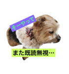 koukunn（個別スタンプ：4）