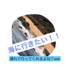 koukunn（個別スタンプ：5）