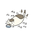 ツチヌコさんスタンプ（個別スタンプ：5）