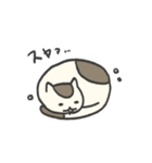 ツチヌコさんスタンプ（個別スタンプ：15）
