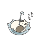 ツチヌコさんスタンプ（個別スタンプ：16）