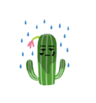 Condo Cactus ＆ Friends（個別スタンプ：21）