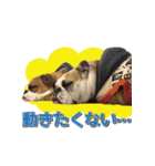 アポロ・マーブル・ロイズのスタンプ（個別スタンプ：2）
