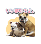 アポロ・マーブル・ロイズのスタンプ（個別スタンプ：3）