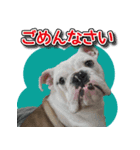 アポロ・マーブル・ロイズのスタンプ（個別スタンプ：5）