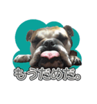 アポロ・マーブル・ロイズのスタンプ（個別スタンプ：6）