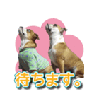 アポロ・マーブル・ロイズのスタンプ（個別スタンプ：8）