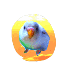 happy  time（個別スタンプ：4）