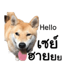 Chanom Dog Der 2（個別スタンプ：1）