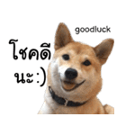 Chanom Dog Der 2（個別スタンプ：4）