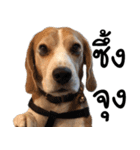 Chanom Dog Der 2（個別スタンプ：9）