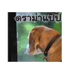 Chanom Dog Der 2（個別スタンプ：12）
