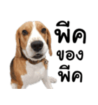 Chanom Dog Der 2（個別スタンプ：17）
