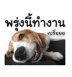 Chanom Dog Der 2（個別スタンプ：33）