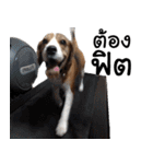 Chanom Dog Der 2（個別スタンプ：35）