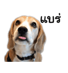 Chanom Dog Der 2（個別スタンプ：36）