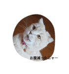 everydayeverytime（個別スタンプ：1）