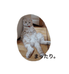 everydayeverytime（個別スタンプ：3）