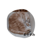 everydayeverytime（個別スタンプ：6）