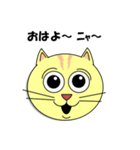 猫の顔スタンプ（個別スタンプ：2）