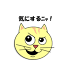 猫の顔スタンプ（個別スタンプ：11）