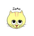 猫の顔スタンプ（個別スタンプ：12）