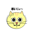 猫の顔スタンプ（個別スタンプ：16）