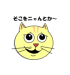 猫の顔スタンプ（個別スタンプ：22）