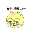 猫の顔スタンプ（個別スタンプ：23）