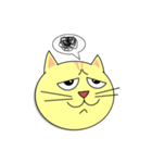 猫の顔スタンプ（個別スタンプ：28）