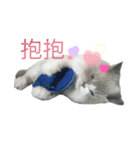 FiCat（個別スタンプ：3）