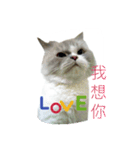 FiCat（個別スタンプ：4）