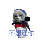 FiCat（個別スタンプ：10）