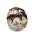 アレックスの笑顔（個別スタンプ：2）