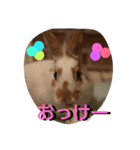 アレックスの笑顔（個別スタンプ：4）