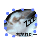 アレックスの笑顔（個別スタンプ：5）