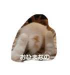 アレックスの笑顔（個別スタンプ：7）