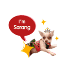 Sarang and friends（個別スタンプ：11）