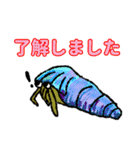 Tomo_nyo's hermit crab sticker（個別スタンプ：2）