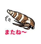 Tomo_nyo's hermit crab sticker（個別スタンプ：6）