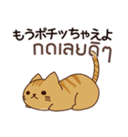 猫 : ずっと味方でいてやるよ（個別スタンプ：13）