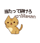 猫 : ずっと味方でいてやるよ（個別スタンプ：20）